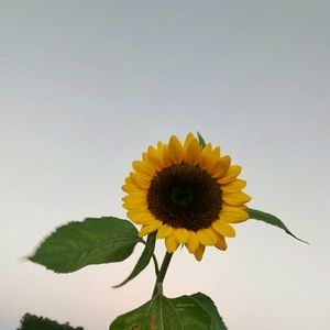 Meet your Posher, Makena